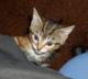climbing-my-leg.jpg
