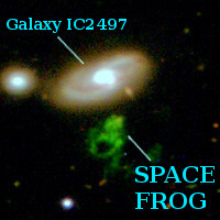 Space frog